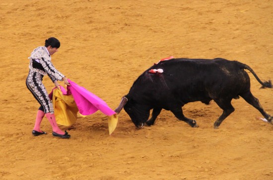 图文-与西班牙有别的葡萄牙斗牛 拿斗篷进行挑