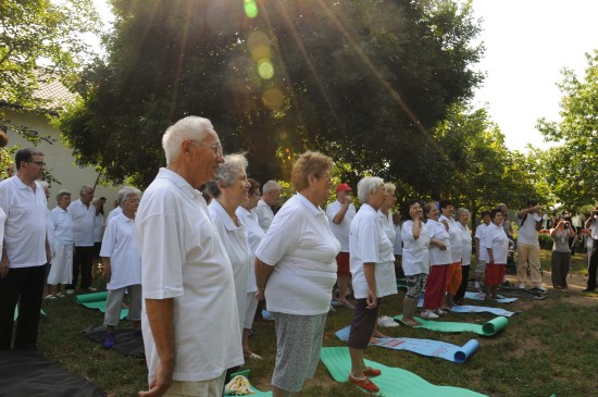 马尼亚老人健身忙 加勒斯特市中心公园晨练_综