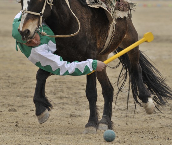 图文-古老的马球比赛 选手高难度的姿势控球_