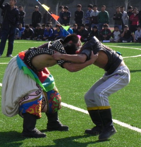 图文-草原那达慕走进内蒙古高校 大学生摔跤比