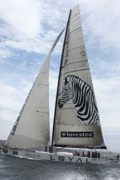 Investec Loyal