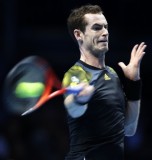 ���׺�������