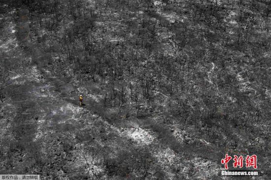 美国加州山火持续蔓延 大片森林化为灰烬_空域