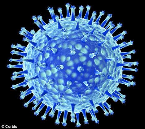 科学家培育禽流感病毒变异体可通过咳嗽传播