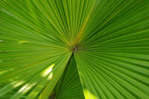 喜欢的请赞好:3个新手必学的构图技巧