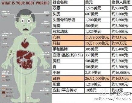人体器官价位图片