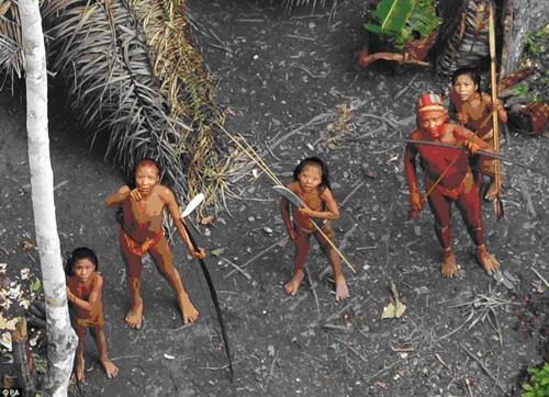 亚马逊原始部落全课图片