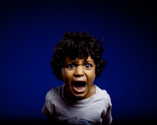 尖声惊叫:声控照相机拍下你的抓狂瞬间