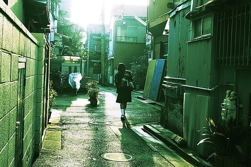 光决定一切 晴天和阴天如何拍出好照片