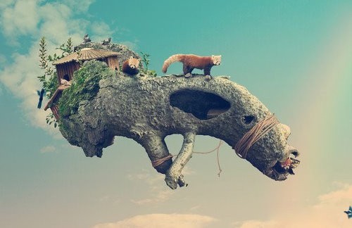 空中飘浮的动物园 创意艺术摄影图赏
