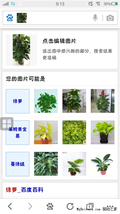 百度识植物图片
