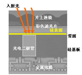 索尼开发出背照射CMOS图像感光元件_数码_科技时代_新浪网