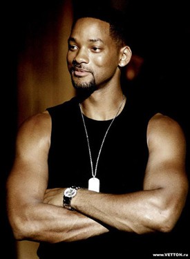 数码 > 正文 威尔史密斯雪橇犬——哈士奇写着写着笔者就将人物角色与