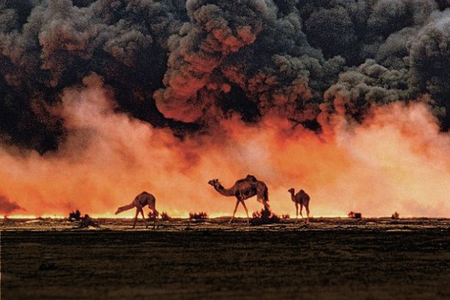 国家地理纪念125周年:海湾战争硝烟里的骆驼
