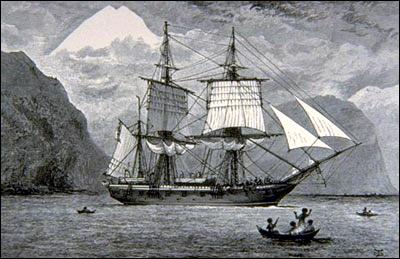 探索进化足迹的巨人:达尔文_科学探索_科技时代_新浪网