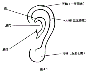 耳朵相学图解图片