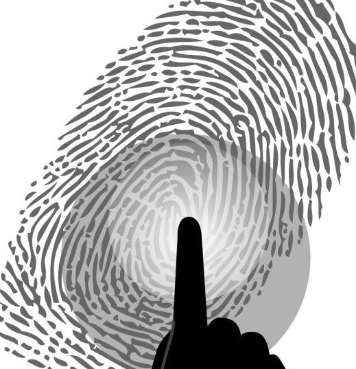 八卦命理:指纹看你最佳情人(图)