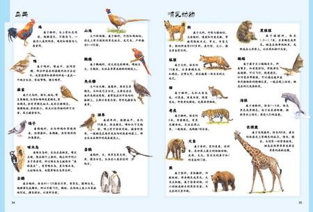 世界上所有的动物名字图片