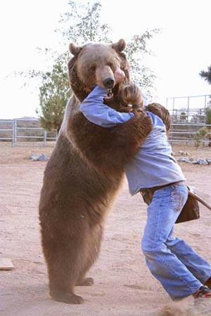 这只灰熊随后被工作人员用胡椒粉制伏