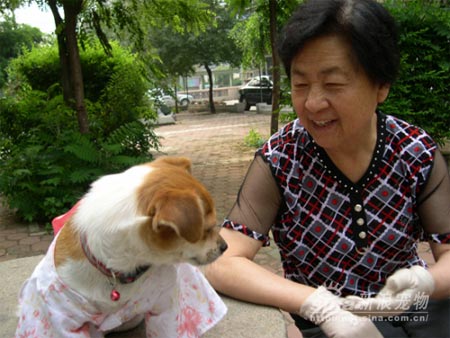 组图于来福常耍的小伎俩4