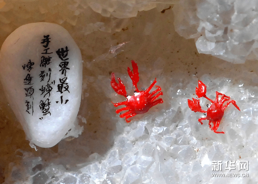(5)1月10日,陈逢显创作的微雕作品——《世界最小手工雕刻螃蟹》在