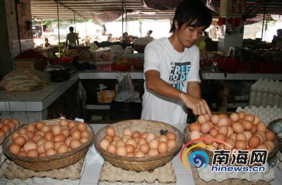海南三亚鸡蛋批发市场在哪