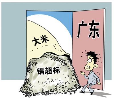 媒体称湖南万吨镉超标大米流入广东 cfp供图