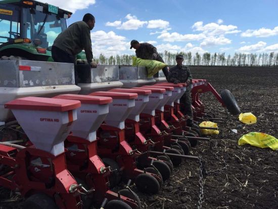 考察:嫩江大豆种植面积增长