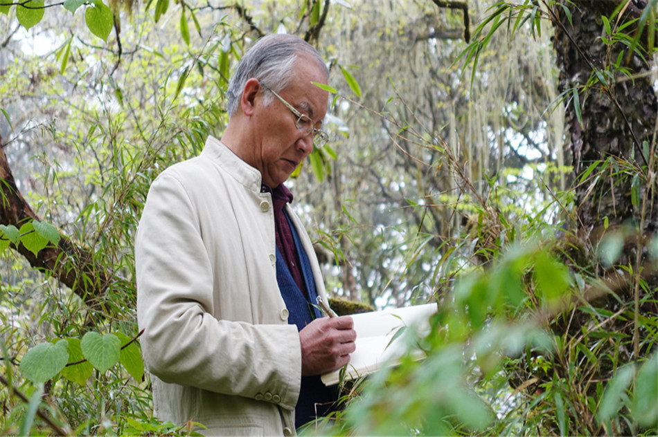 对话著名写意花鸟画家沈光伟