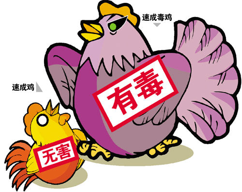 后,近两日"速成鸡"无疑成了最受老百姓关注的关键词,各种抗生素的