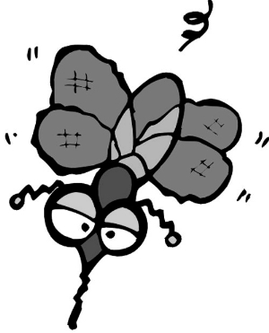 其实,防登革热的本质是防蚊子叮咬,这有什么窍门可循吗?