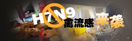 云南公布防治h7n9流感中药方 不含板蓝根