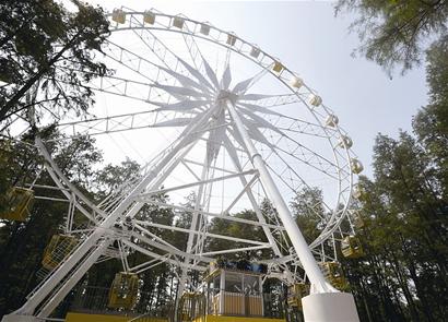 图文:42米摩天轮