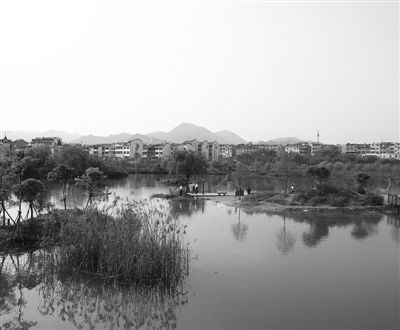 昔日黑臭水變清水,汙水整治後,浦江縣翠湖生態溼地公園成為大眾休閒的