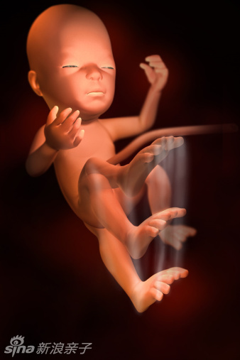 怀孕第28周胎儿图    这个月的胎宝宝体重已有1100
