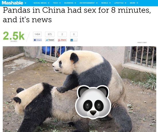 熊猫交配实况首播交配近8分钟引外媒围观