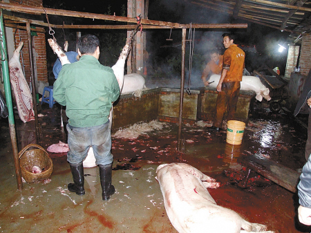 本报安康讯汉滨区一家生猪屠宰点不顾政府禁令,用其他屠宰企业的检疫