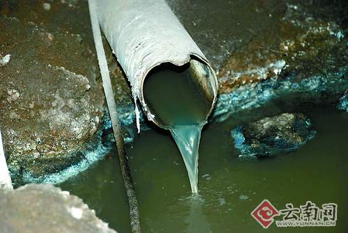 猪肠加工厂乱排污水 附近村民难忍恶臭苦不堪言