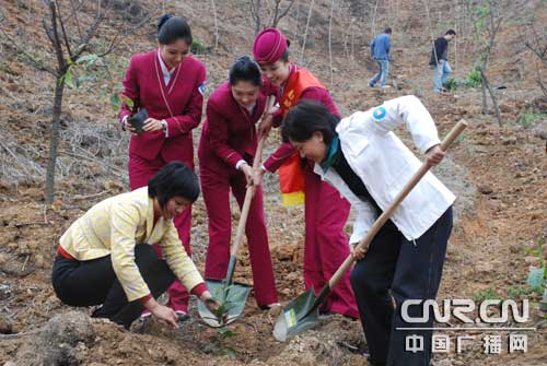 南航植树绿岭11载 奥运空姐植树忙