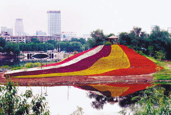 6月16日,沈阳鲁迅儿童公园情人岛栽种的鲜花五颜六色,似"瀑布"自上而