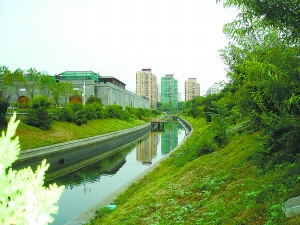 市区最大一条臭水沟变清_新闻中心_新浪网