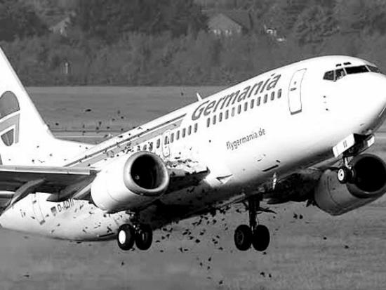 刚刚从德国杜塞尔多夫机场起飞,就遭到一群欧掠鸟的袭击,当时飞机的