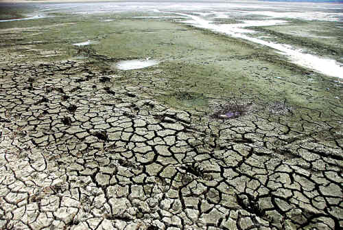 粤干旱四大流域齐叫渴 群众饮水受影响