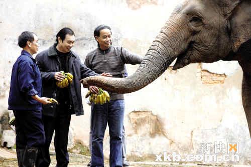 颜志图开坛讲古 叶润生挥剪画虎