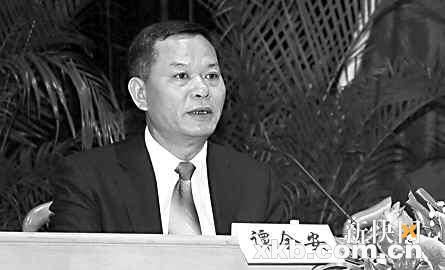 横沥镇党委书记谭全安:今年力争引资2亿美元