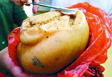 形形色色的太岁