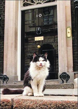 唐宁街10号招聘公务猫