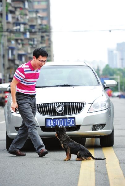 都说"好狗不挡道" 这只小狗偏要蹲路中间