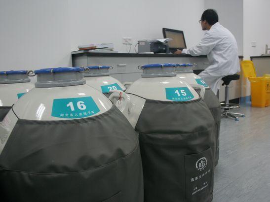 图为湖北省人类精子库内储存冷冻精子的液氮罐. 新华社记者 李劲峰 摄