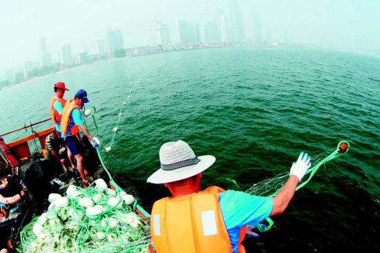 烟台浴场布设防鲨网